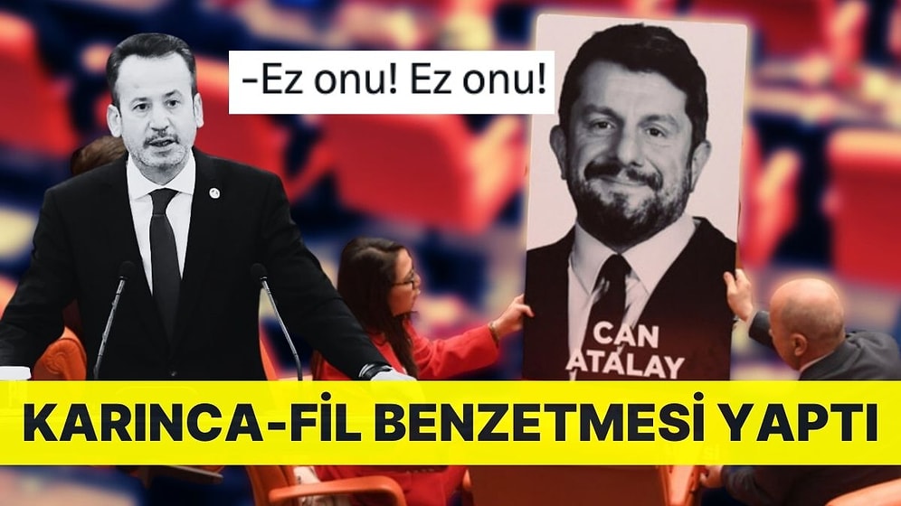 AYM Üyesinden Yargıtay Kararı Sonrası İmalı Paylaşım: Karınca-Fil Benzetmesi Yaptı