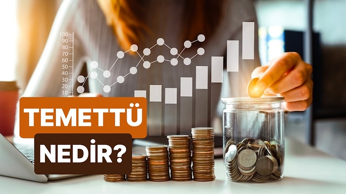 Temettü Nedir? Temettü Nasıl Alınır? İşte 6 Soruda Temettü Yatırımı Hakkında Merak Edilenler