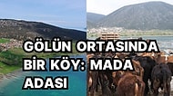Beyşehir Gölü'nde Yerleşik İnsan Yaşamı Olan Mada Adası'nın Sıra Dışı Öyküsünü Mutlaka Okumalısınız
