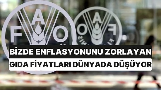 Bizde Enflasyonu Zorlayan Gıda Fiyatları Dünyada Düşmeye Devam Ediyor