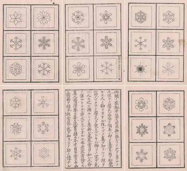 11. Kar tanelerini mikroskopla inceleyen Japon lordu Doi Toshitsura'nın Kar Taneleri Kitabı'ndan çizimler. (1832)