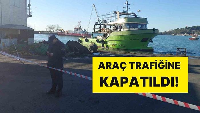 Denizde Panik Anlar! Balıkçıların Ağına Deniz Mayını Takıldı: Bölge Araç Trafiğine Kapatıldı