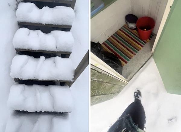 Finlandiya'daki yazlık evinin tuvaletine giden yolu da takipçileriyle paylaştı.