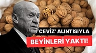 MHP Genel Başkanı Devlet Bahçeli'nin Bir Anda Ortaya Fırlattığı Ceviz Felsefesi Dillere Düştü