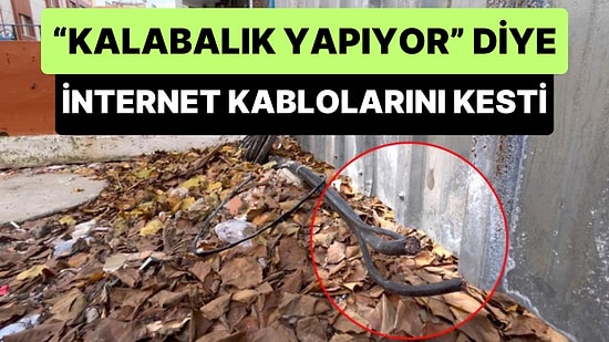 'Kalabalık Yapıyor' Diyerek Sokaktaki İnternet Kablolarını Testere ile Kesen Vatandaş