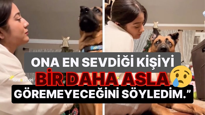 Hayatını Kaybeden Sahibini Bıkmadan Kapıda Bekleyen Köpeğin Çaresizliği Bizi Boğdu Boğdu Duvara Attı