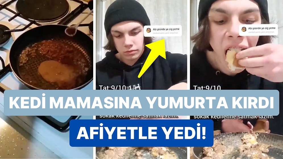 Kedi Mamasına Yumurta Kırıp Ekmek Bana Bana Yiyen Kişi Midenizi Altüst Edecek!