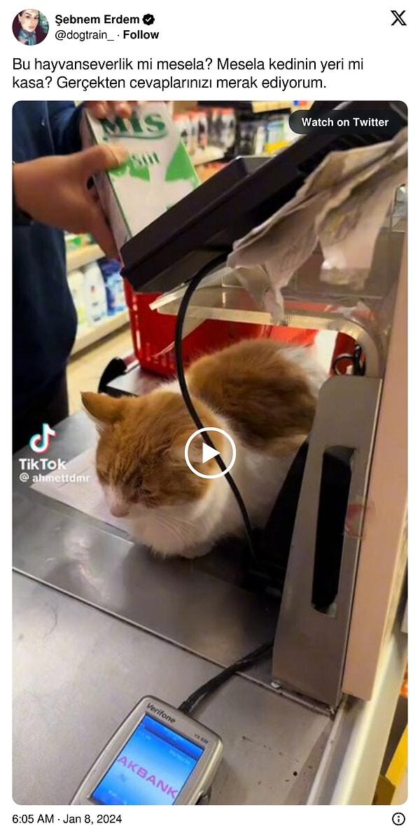 Sosyal medya platformu X'te bir kullanıcı, "Bu hayvanseverlik mi mesela? Mesela kedinin yeri mi kasa? Gerçekten cevaplarınızı merak ediyorum." ifadelerini kullanarak, kedinin market kasasında bulunmasına karşı çıktı.