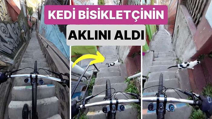 Bir Kedi Ara Sokaklarda Ekstrem Bir Sürüş Deneyimi Yaşayan Bisikletçiye Korku Dolu Anlar Yaşattı