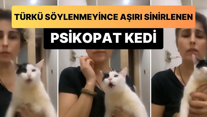 İnsan Dostu Türkü Söylemeyince Sinir Krizi Geçiren Kedi