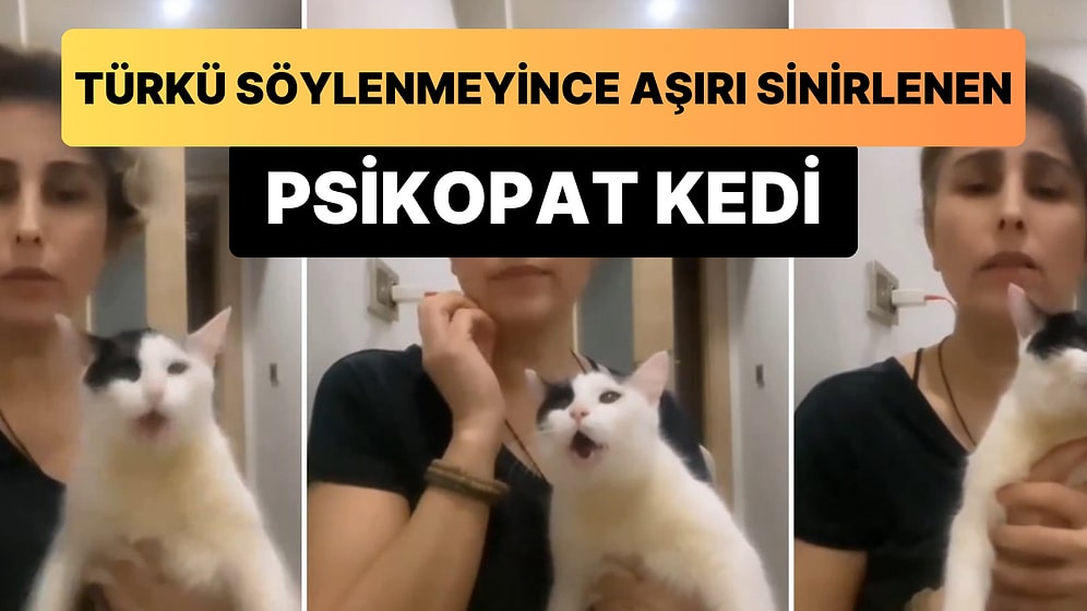 İnsan Dostu Türkü Söylemeyince Sinir Krizi Geçiren Kedi