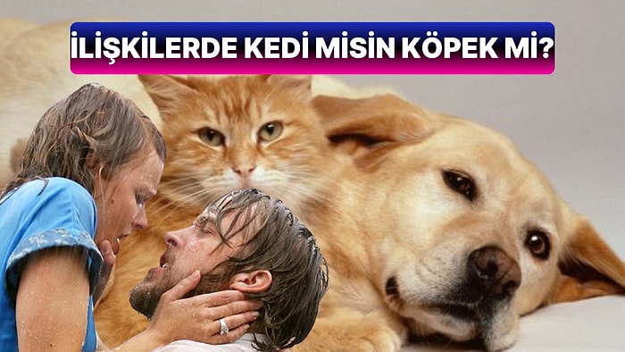 İlişkilerde Kedi misin Köpek mi?