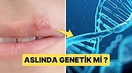 Uçuk Virüsü Oluşumunda Genetik Faktörler Rol Oynuyor mu?