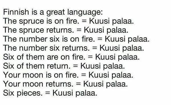 6. Finnish: Cases and Vowel Harmony