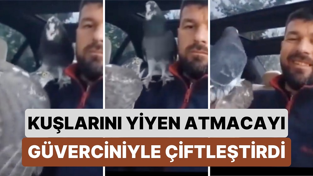 Kuşlarını Yiyen Atmacayı Yakalayıp Güverciniyle Çiftleştiren Kuşçu O Anları Sosyal Medyada Paylaştı