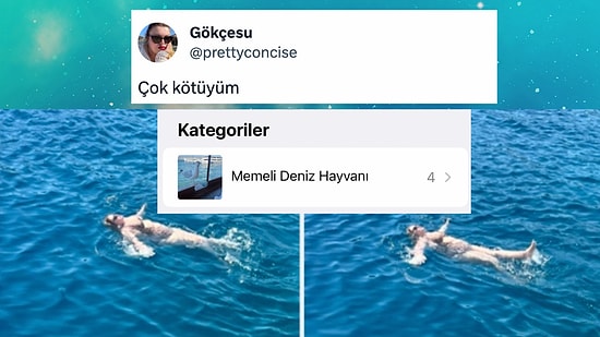 Telefonunun Yapay Zekası Tarafından Memeli Deniz Hayvanı Kategorisine Sokulan Kişi Viral Oldu