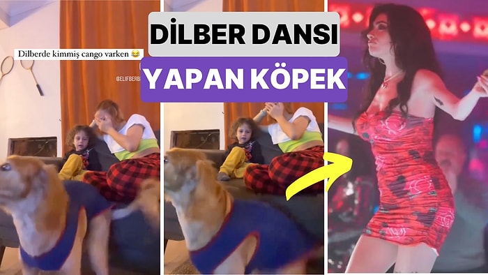 Hazar Ergüçlü'nün Gündem Olan Dilber Dansını Muazzam Bir Biçimde İcra Eden Köpeği İzlemeye Doyamayacaksınız