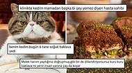 Cips Yiyen Kediyi Yargılayan Sosyal Medya Kullanıcısına Soğuk Baklava Yiyen Kedi Şoku Timeline'ı Şenlendirdi