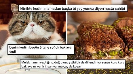 Cips Yiyen Kediyi Yargılayan Sosyal Medya Kullanıcısına Soğuk Baklava Yiyen Kedi Şoku Timeline'ı Şenlendirdi