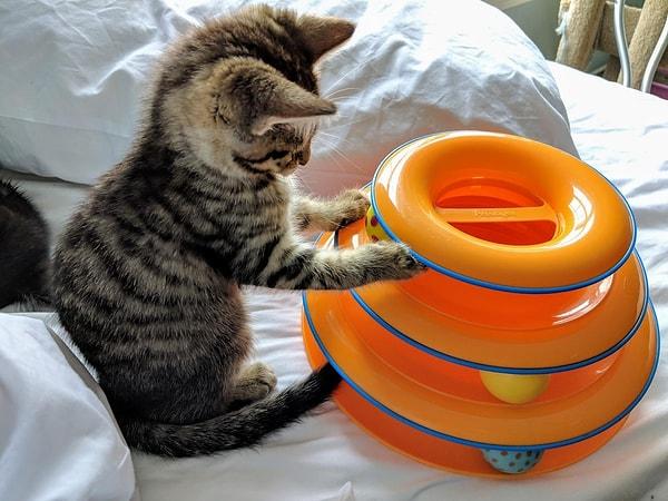 10. 3 katlı ve her katına oyuncak top koyulabilen, kedinizin ilgisini uzun süre üzerinde tutacak bir kedi oyuncağı.