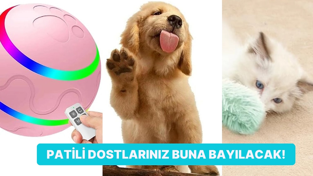 Patili Dostunuzu Dondurucu Soğuklarda Dışarı Çıkarmak Yerine Evde Oyalayabileceğiniz Şeyler