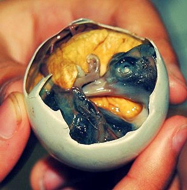 10. Balut yumurta -  Filipinler