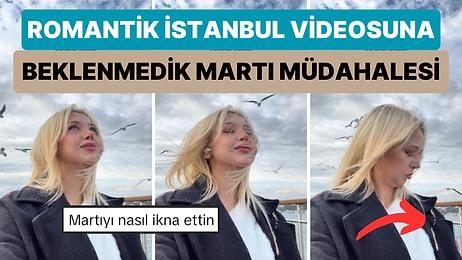 Romantik Bir İstanbul Videosu Çekmek İsterken Bir Martının Üzerine Pislemesiyle Neye Uğradığını Şaşıran Kadın