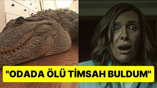 Misafirlerin Çıkış Yaptıkları Odalarda Bıraktıkları Şeyleri Duyunca Bir Daha Otele Gitmek İstemeyeceksiniz!