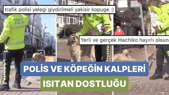 Sinop'ta Her Gün Bir Polis Memuruyla Birlikte Görev Yapan Köpük'ün Dostluğu Karşısında Yumuşacık Olacaksınız