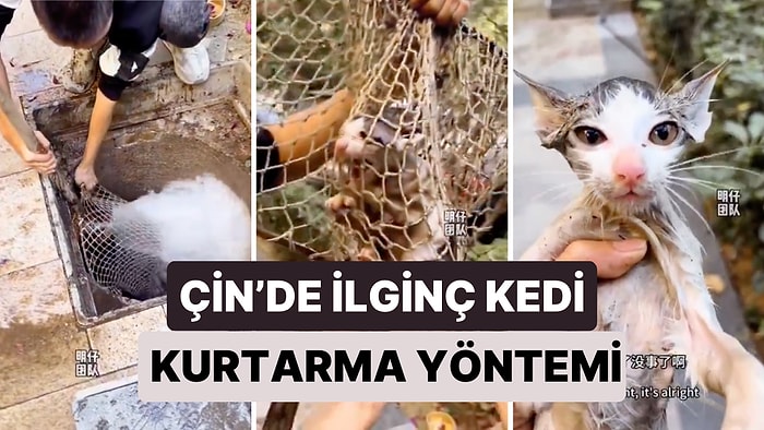 Çin'de Bir Acayip Kurtarma Yöntemi! Gider Borusuna Sıkışan Kediyi Tazyikli Suyla Çıkardılar