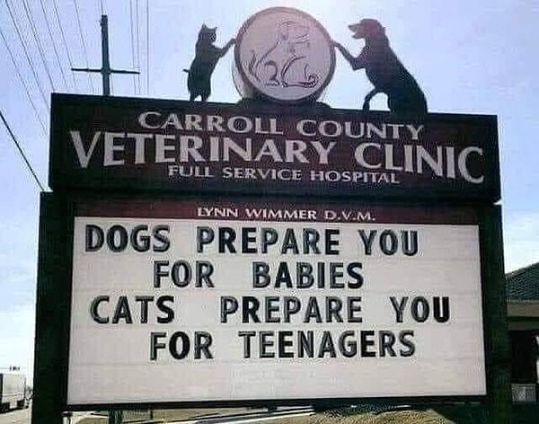 7. "Köpekler sizi bebekler için, kedilerse ergenler için hazırlar.