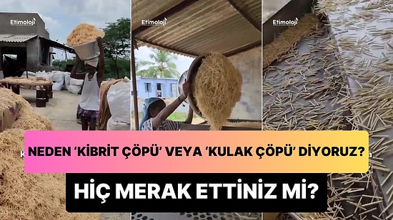 Neden 'Kibrit Çöpü' veya 'Kulak Çöpü' Dediğimizi Hiç Merak Ettiniz mi?