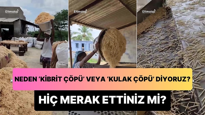 Neden 'Kibrit Çöpü' veya 'Kulak Çöpü' Dediğimizi Hiç Merak Ettiniz mi?