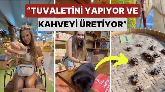 Bir Kadın Dünyanın En Pahalı Kahvesi Olan Kopi Luwak'ın Oluşum Sürecini Yerinde İzledi ve Kahveyi Tattı