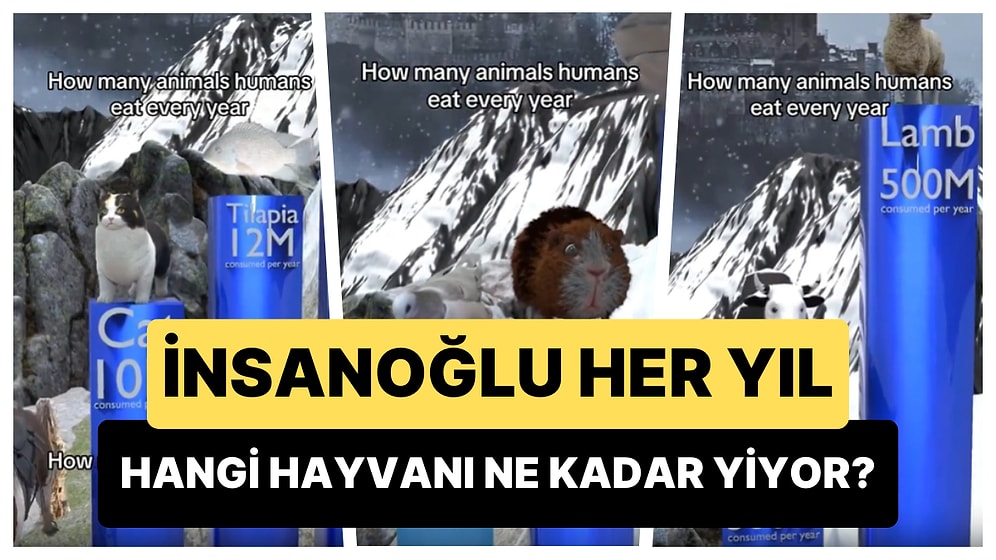 Bu İstatistiklere Canınız Sıkılacak: İnsanoğlu, Her Yıl Hangi Hayvanı Ne Kadar Yiyor?