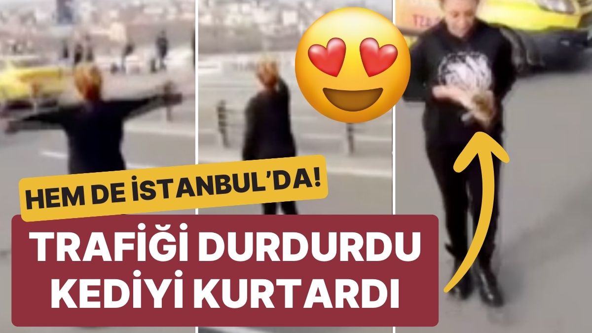 Bazı Kahramanlar Pelerin Takmaz! Trafiği Durdurdu, Kediyi Kurtardı Hem de İstanbul’da!