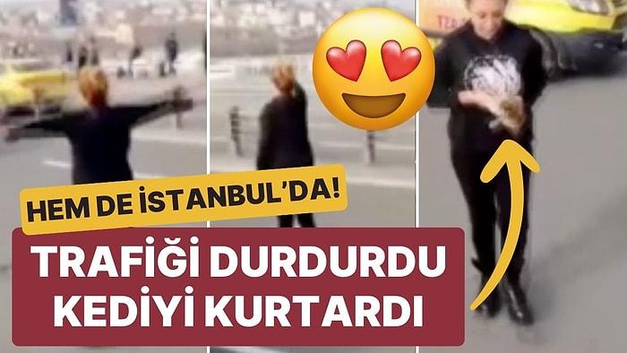 Bazı Kahramanlar Pelerin Takmaz! Trafiği Durdurdu, Kediyi Kurtardı: Hem de İstanbul’da!