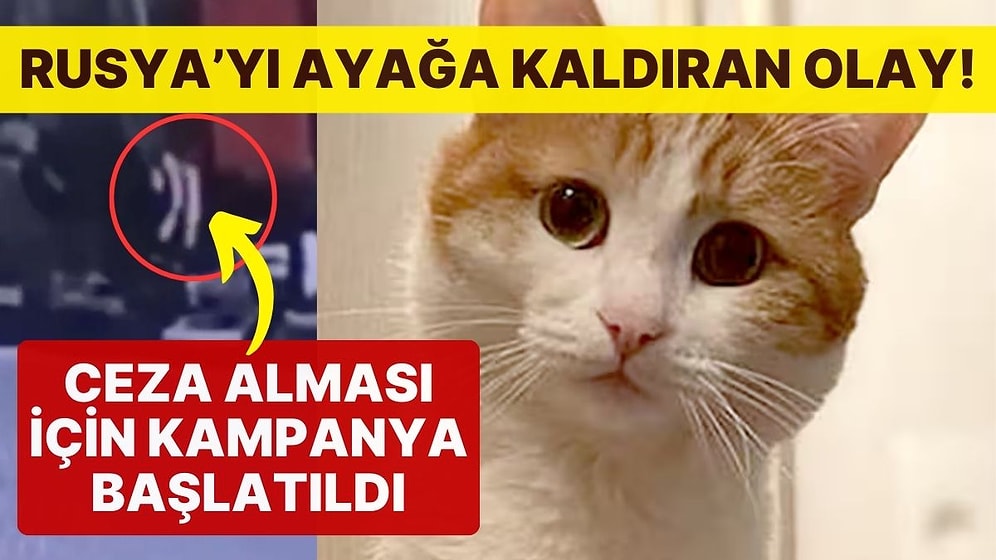 Kondüktör, Evcil Kedi 'Twix'i Trenden Attı: Donarak Ölmesine Sebep Oldu!