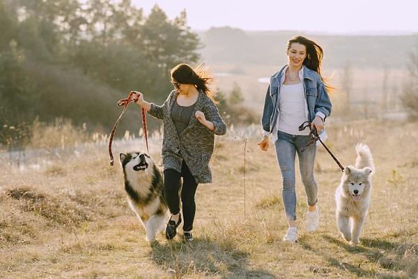 3. Evcil hayvanınızı tatilde yanınıza almak, dışarıda aktif olmanızı teşvik eder ve daha sağlıklı bir tatil sunar.