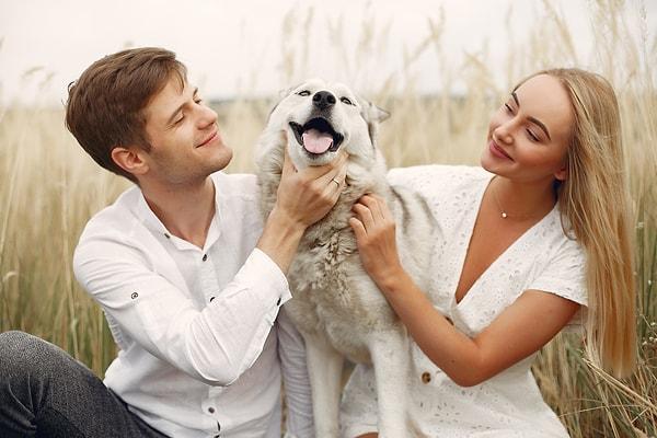 5. Seyahat sırasında siz ve köpeğiniz birlikte yaşadığınız anılarla daha da yakın bir ilişki kurarsınız.