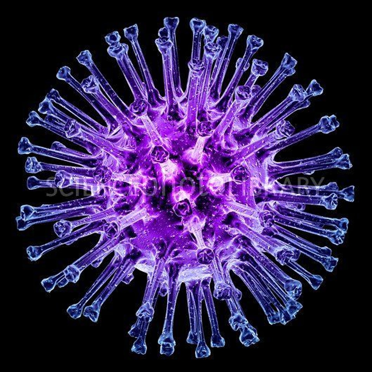 Анекдоты про вирус. Вирус гриппа h1n1. Так как она вирус. Вирус гриппа. Так как она вирус.