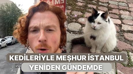 Adım Başı Bir Kediyle Karşılaşabileceğiniz İstanbul Bir Turistin Daha Dikkatini Çekti