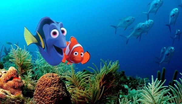 9. "Finding Nemo kesinlikle çok yanlış olmuş olsa gerek ki filmden sonra palyaço balığı satışları tavan yaptı..."