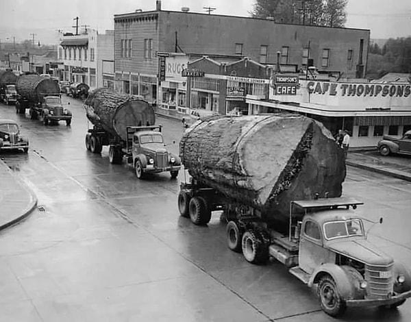 2. Washington'da bir kasaba görülen ağaç kütüğü kamyonetleri. (1943)