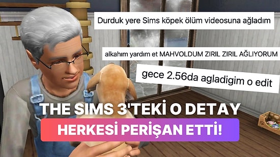 The Sims 3'te Köpeğin Azrail'e Tepkisi Twitter Ahalisini Derbeder Etti