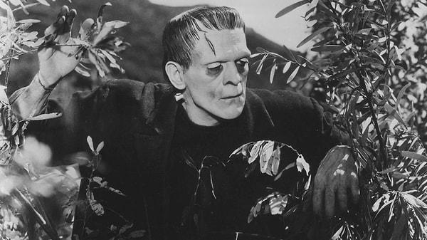 3. Universal's "Frankenstein": Bu film, Universal Stüdyolarında canavar serisinin baş tacıdır, özellikle de James Whale'in "Frankenstein" ve "Frankenstein'ın Gelini" filmlerinden güç alır.