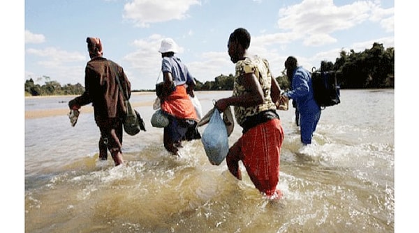 Afrika'da her yıl yüzlerce kişi, yerleşim yerlerini işgal ettikleri vahşi hayvanların saldırılarında hayatını kaybediyor.