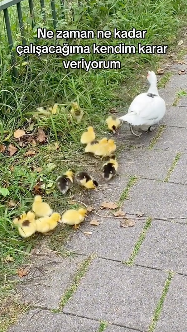 Kullanıcı çalışacağı günleri kendisi seçtiğini ve ona göre saat verildiğinden de bahsediyor.