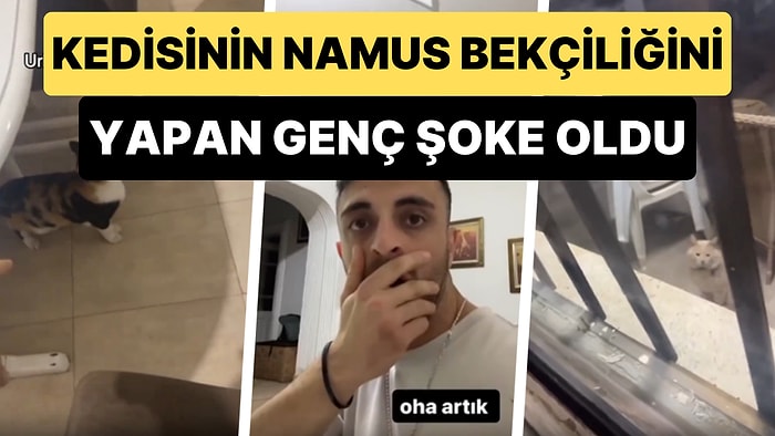 Kedisinin Namus Bekçiliğini Yapan Genç Nöbetini Aksatınca Başına Talihsiz Şeyler Geldi