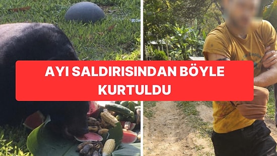 Tayland’da Korkunç Olay: Ayı Saldırısından Kolunu Keserek Kurtuldu
